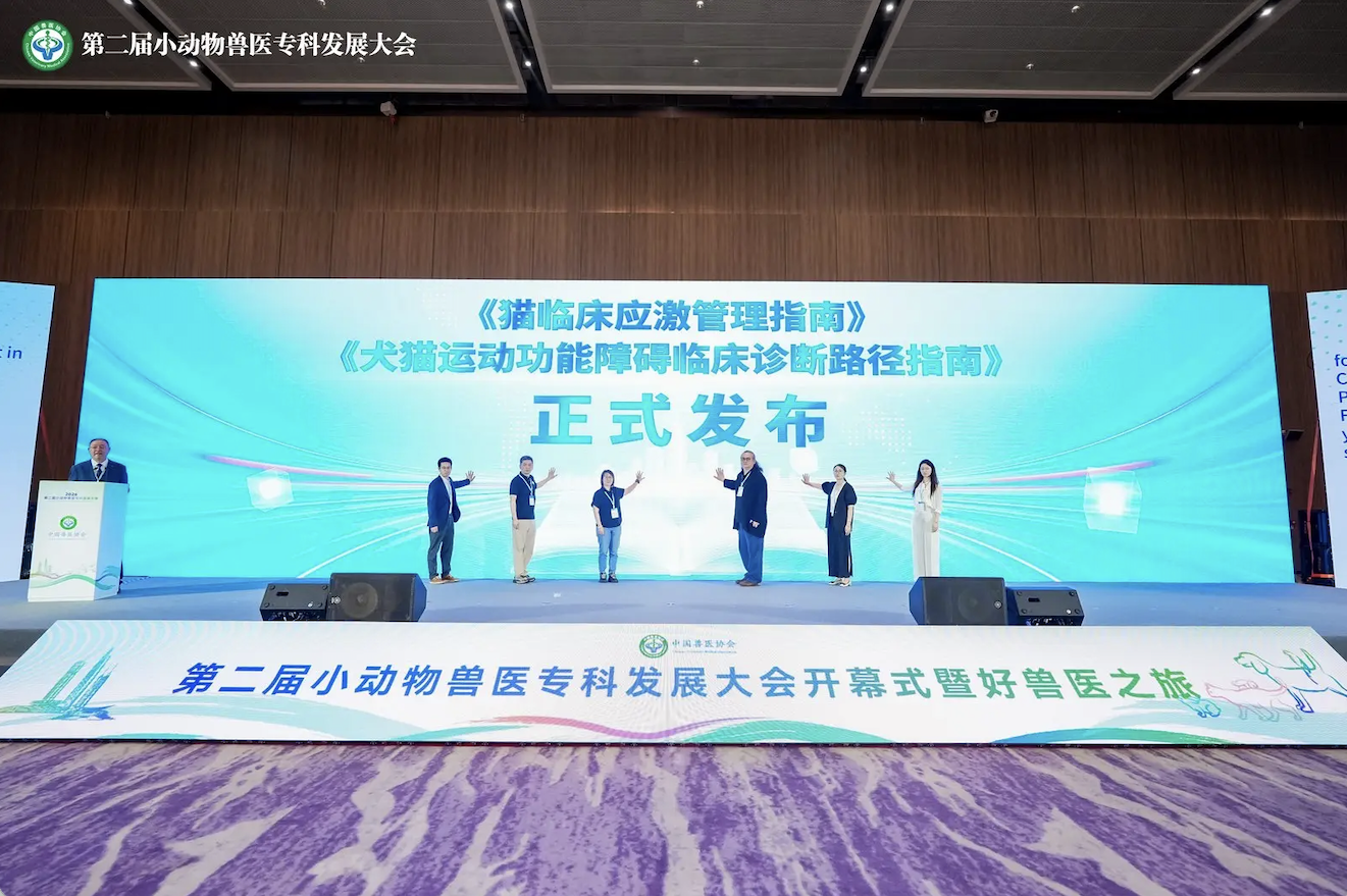 犬猫运动功能障碍诊断示意图