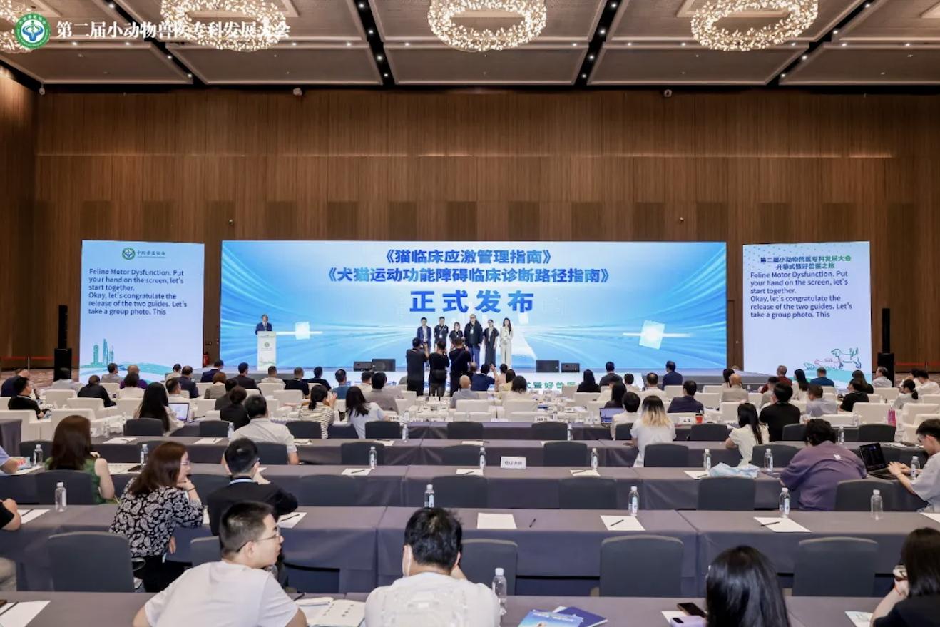 神经学检查评分体系